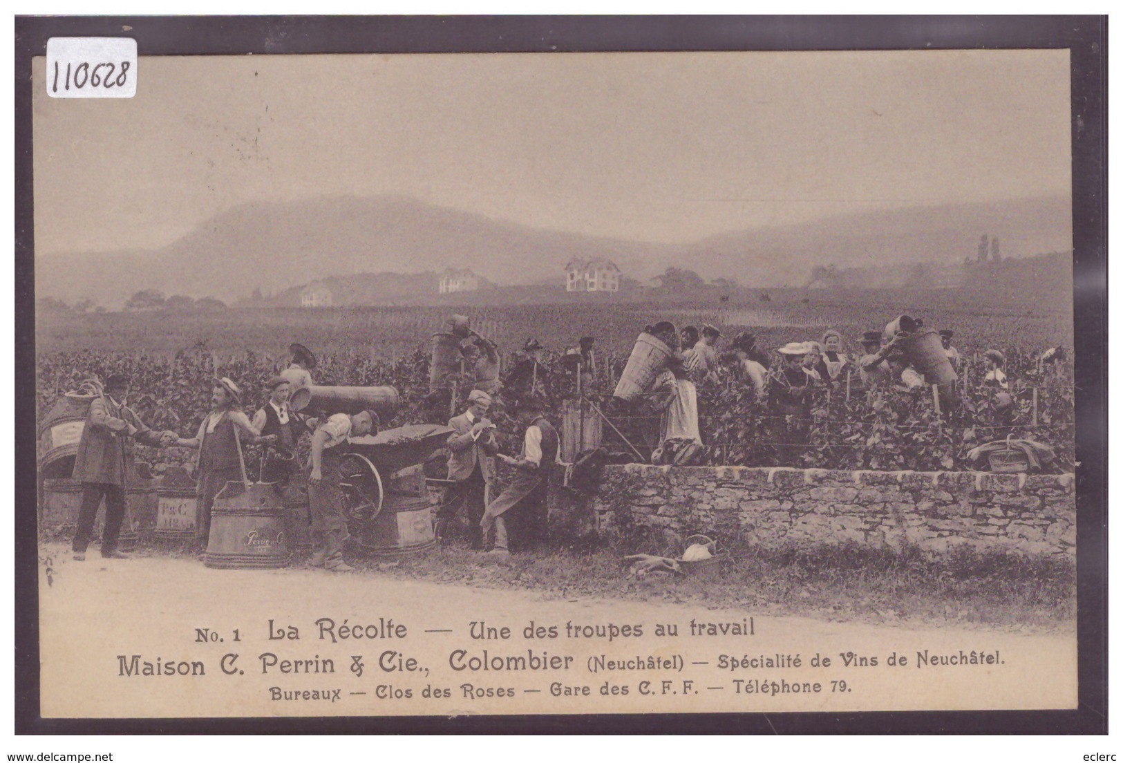 COLOMBIER - MAISON C. PERRIN & Cie - SCENE DE VENDANGES - TB - Colombier