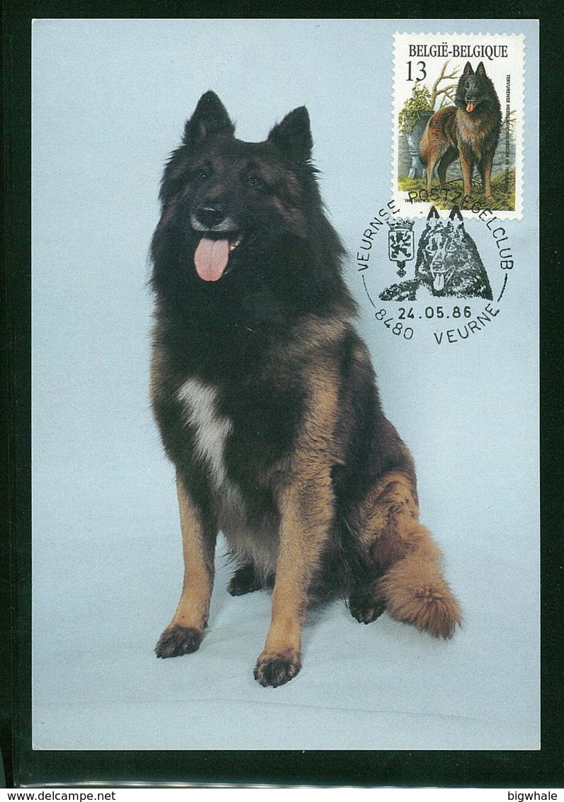 Belgium 1986 Dog Chien Maximum Card 1V - Cani