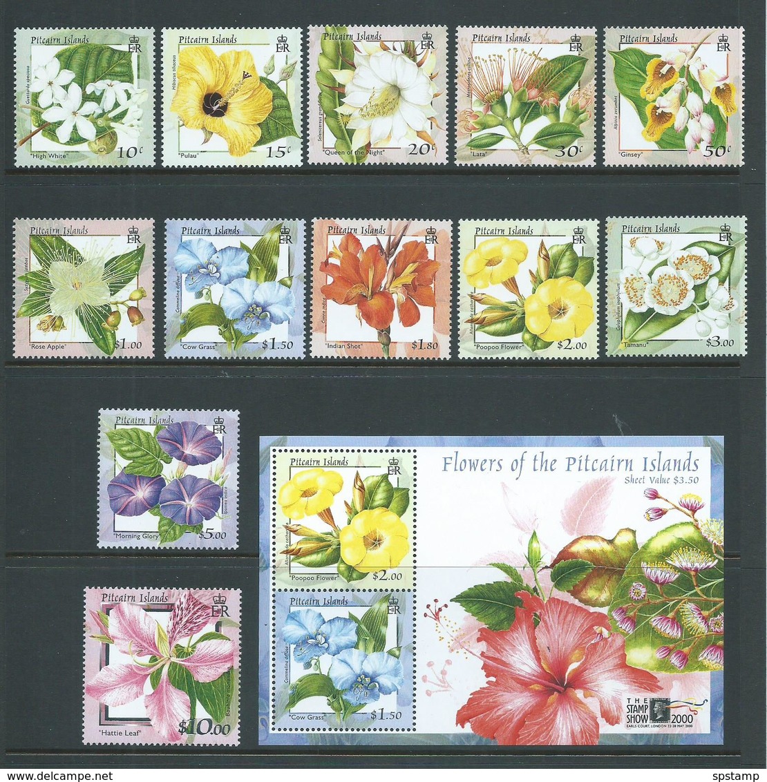 Pitcairn Islands 2000 Flower Definitives Set 12  To $10 & Miniature Sheet MNH , $5 With Tiny Gum Mark - Pitcairn Islands