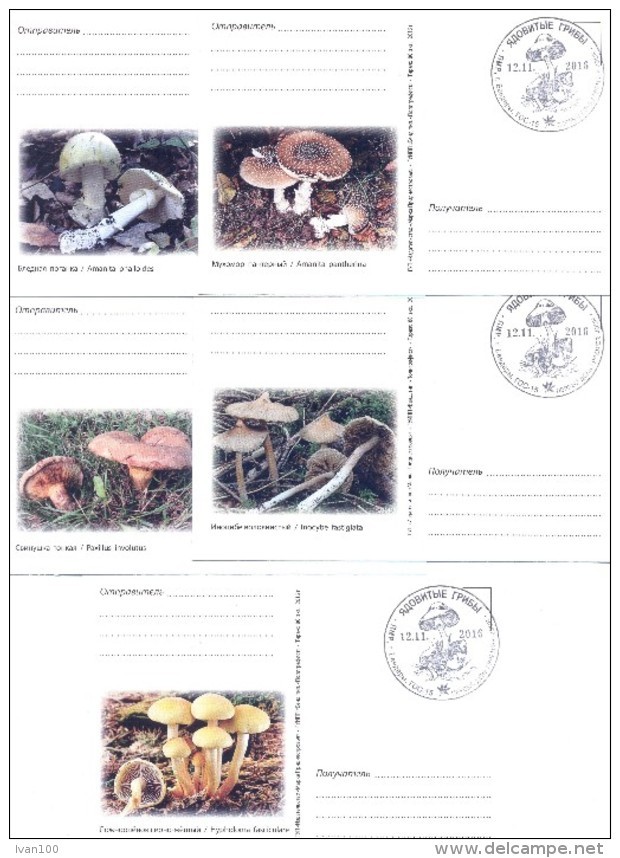 2016. Transnistria, Mushrooms, 5 Maxicards, Mint/** - Moldavie