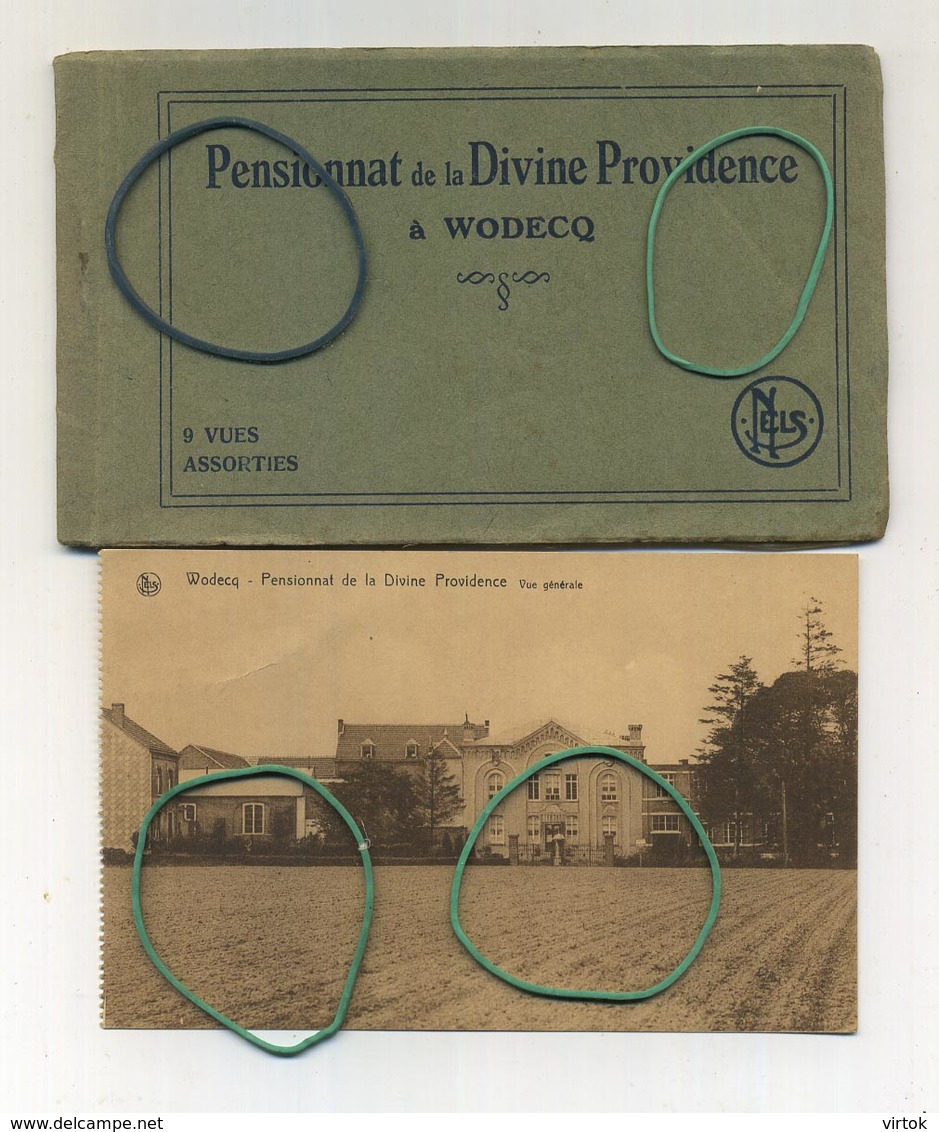 WODECQ : 9 CPA Carnet Complet : Pensionnat De La Divine Providence  ( Edit : Lagneau Flobecq ) - Ellezelles