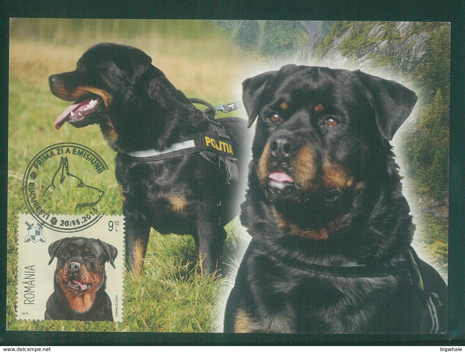 Romania 2015 Dog Chien Maximum Card 1V ** - Sao Tome Et Principe