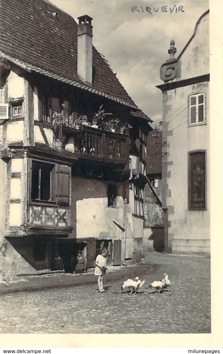 68 HAUT RHIN Carte Photo De RIQUEWIHR Petite Fille Et Canards Devant Une Maison ALsacienne - Riquewihr