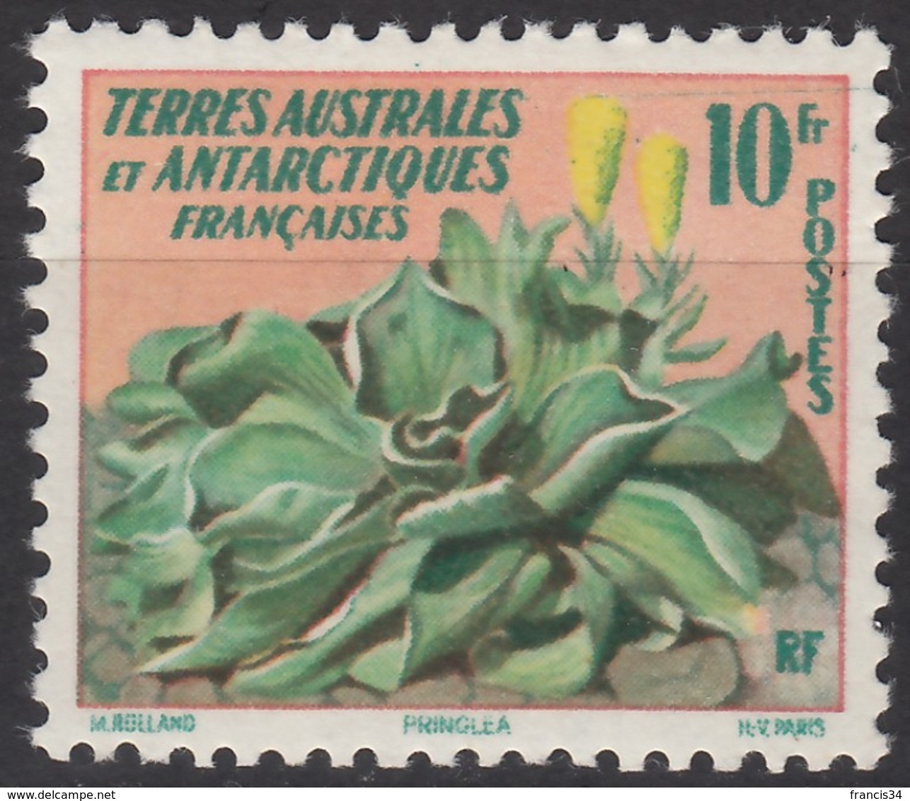 N° 11 - X - ( C 1788 ) - Unused Stamps