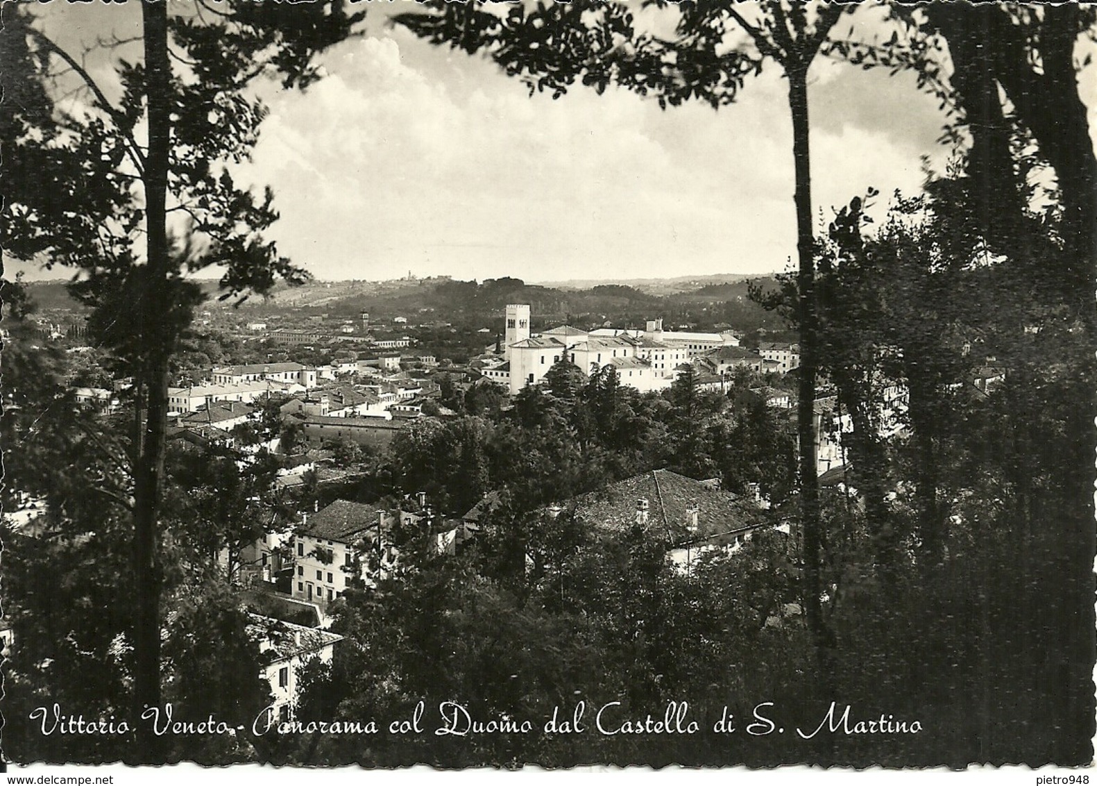 Vittorio Veneto (Treviso) Panorama Del Duomo Dal Castello Di San Martino - Treviso