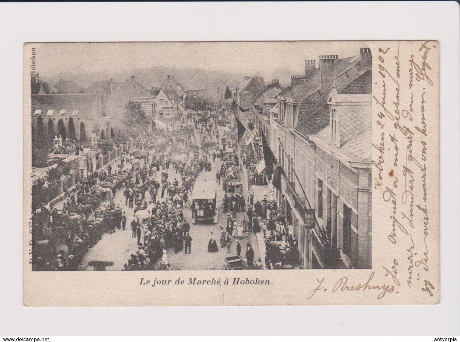 Hoboken - Zeer Zeldzame Kaart 1902  Veel Animatie Tram ,beesten Enz... Op Marktdag Dvd Kaart - Antwerpen