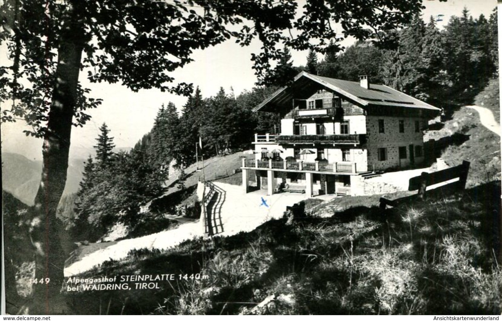 007542  Alpengasthof Steinplatte Bei Waidring  1961 - Waidring