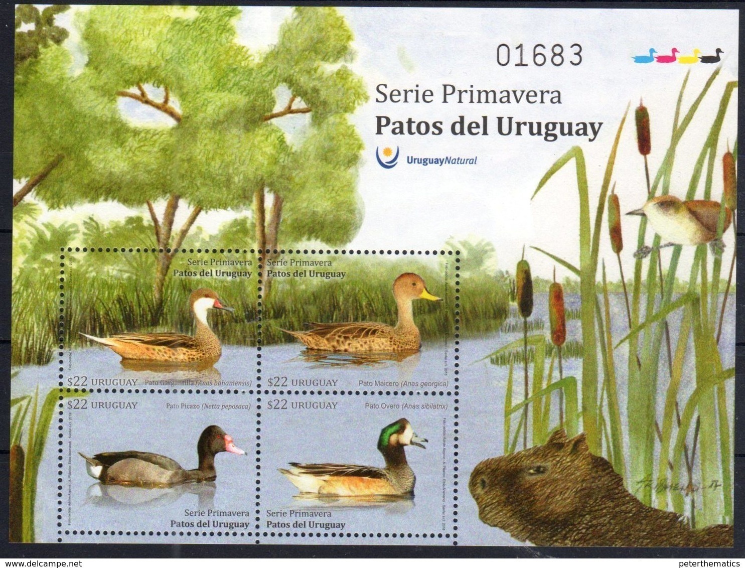 URUGUAY, 2018, MNH, BIRDS, DUCKS, SHEETLET OF 4v - Ducks