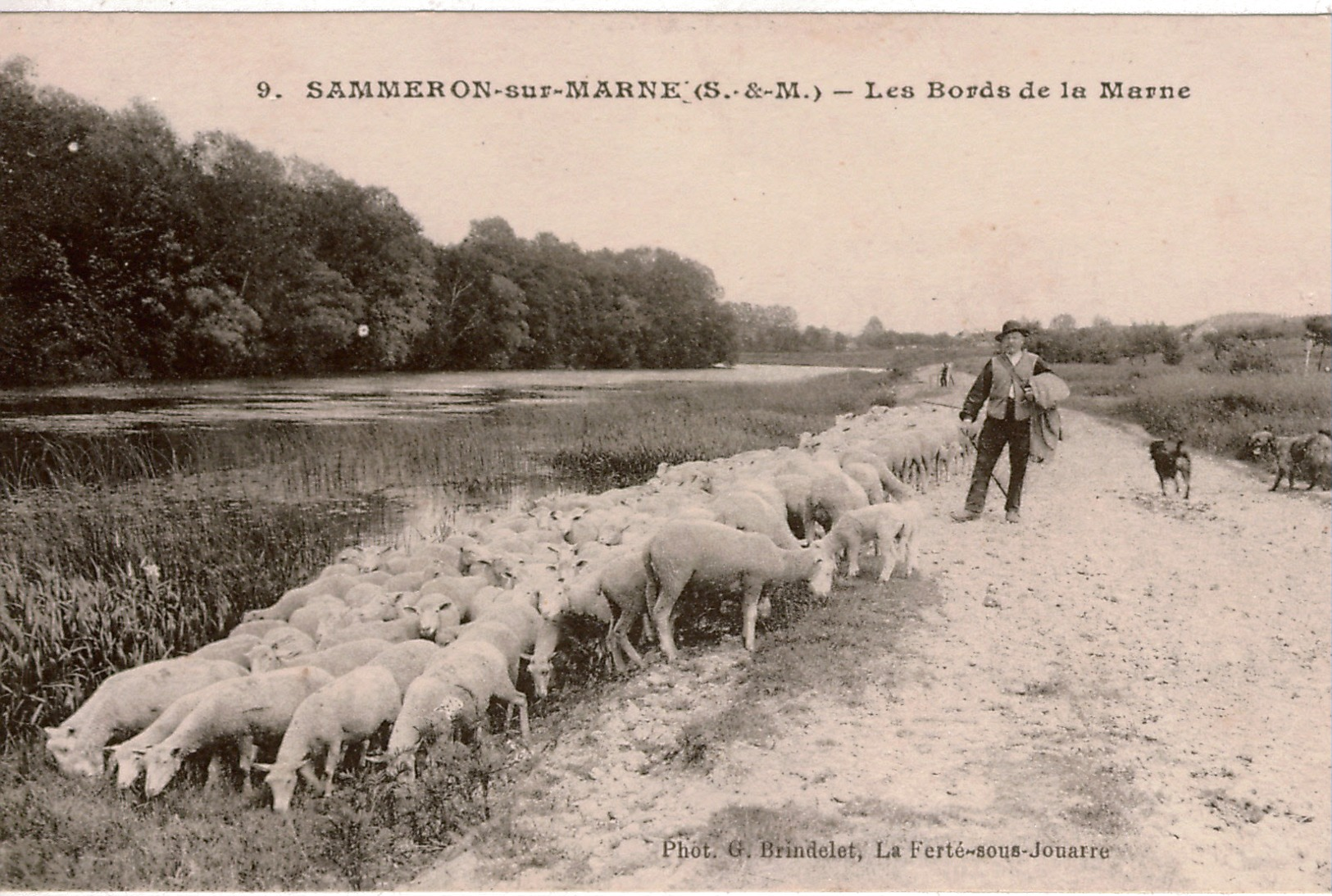 Bon Lot 20 Cartes Postales Anciennes FRANCE Diverses Régions Sauf Paris,Versailles, Lourdes Toutes Animées,20 Scans - 5 - 99 Cartes