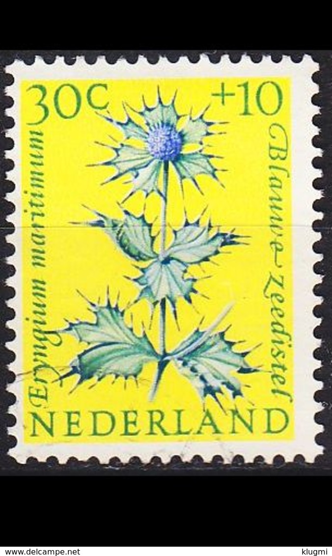 NIEDERLANDE NETHERLANDS [1960] MiNr 0750 ( **/mnh ) Blumen - Ungebraucht