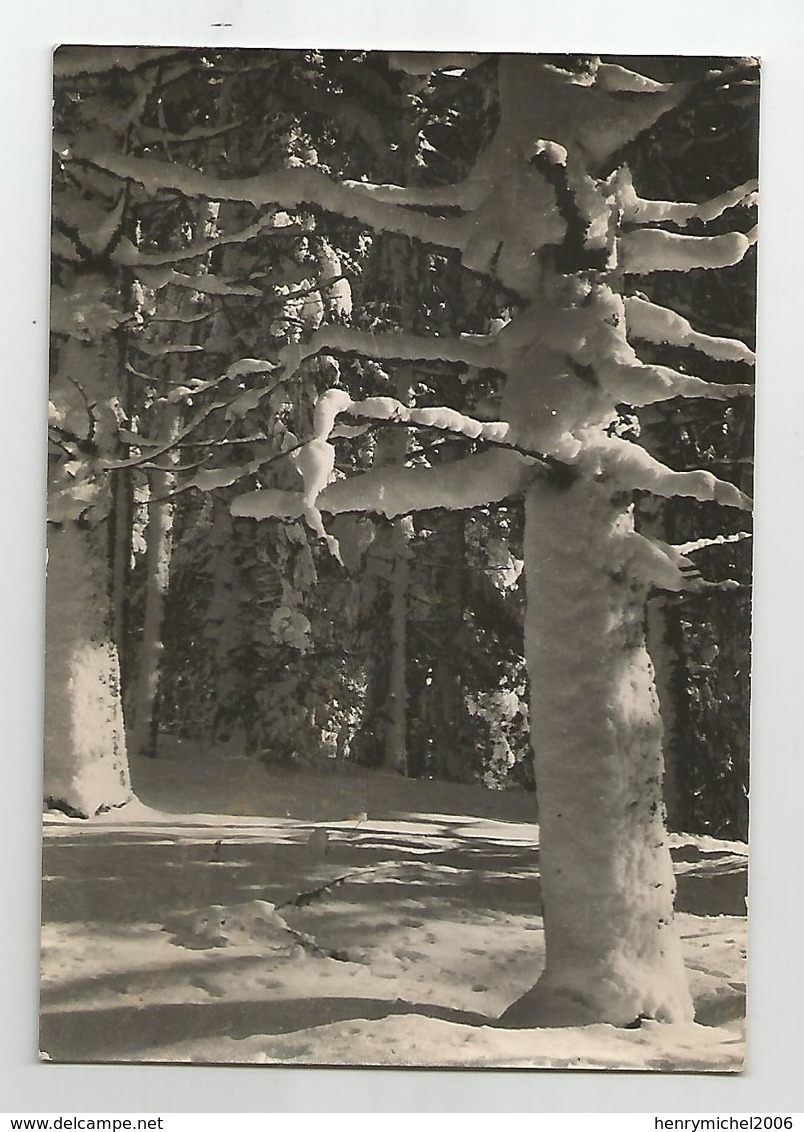 25 -paysage D' Hiver Dans Le Haut Doubs Carte Photo Stainacre De Pontarlier - Pontarlier