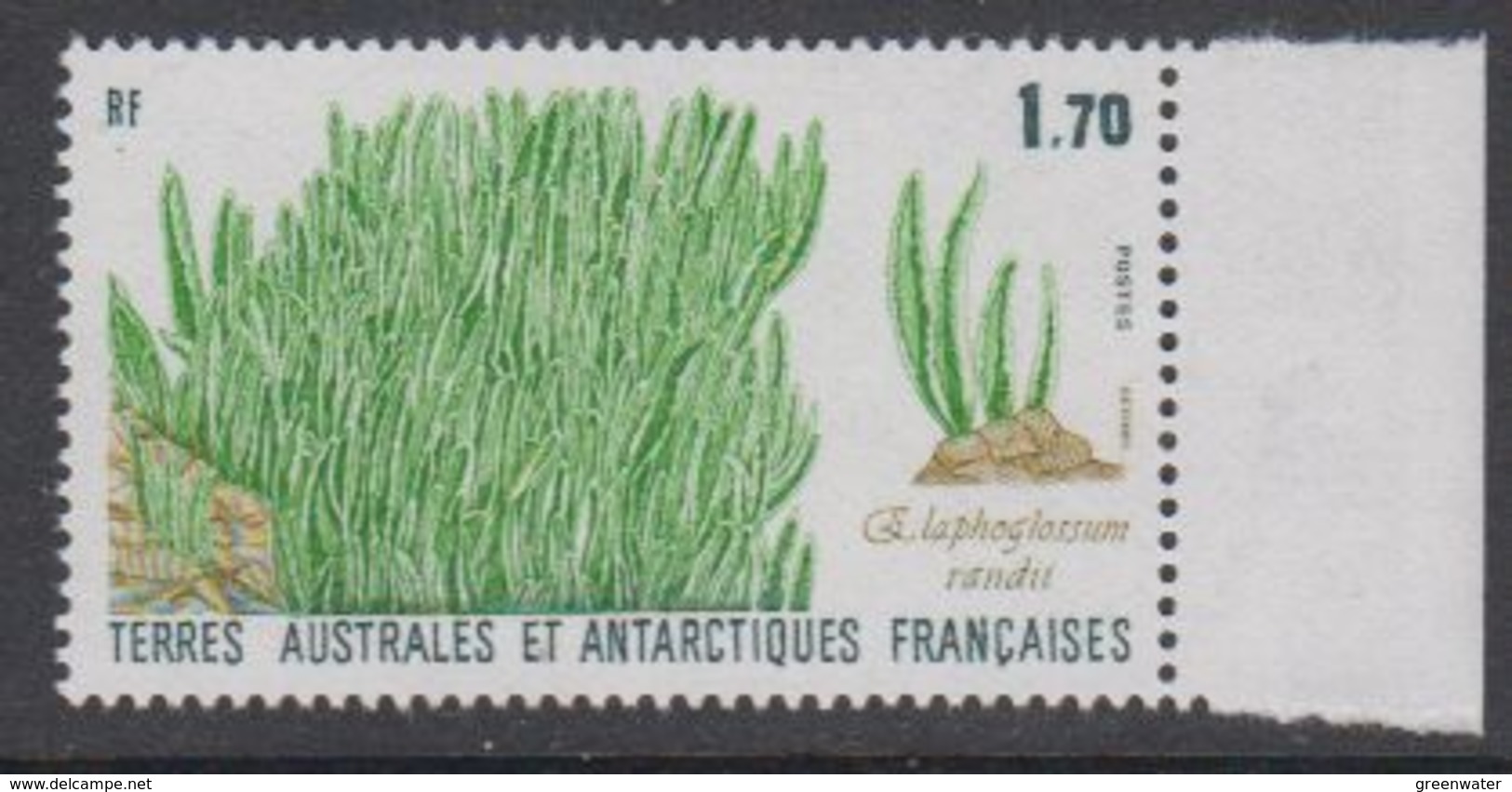 TAAF 1988 Plants 1v ** Mnh (TA225) - Ongebruikt