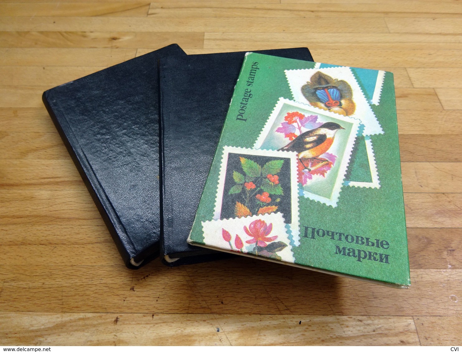 Russia/CCCP 1970-1981 Mint/Used In 3 X Stock Folders. - Collections