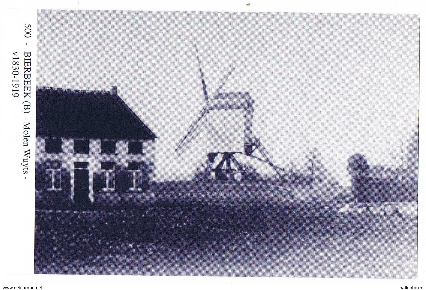 Bierbeek: Molen Wuyts ( 2 Scans) - Bierbeek