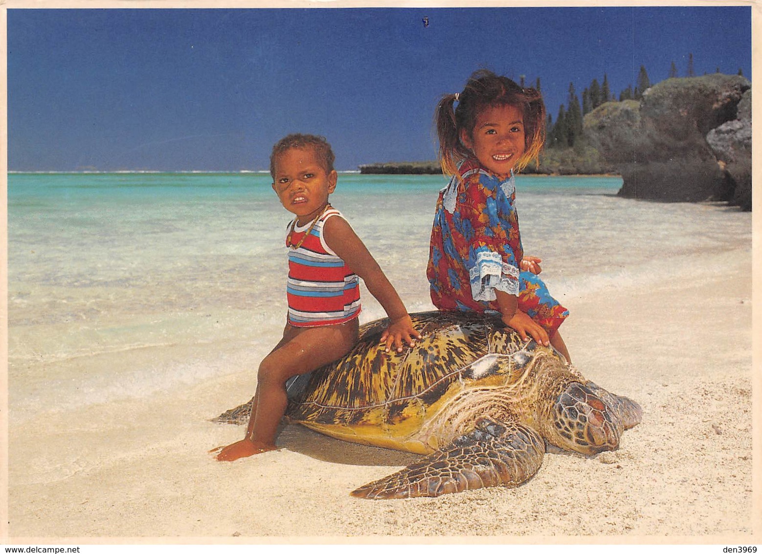 TORTUE - Gîte De Manamaky - Iles Des Pins - Nouvelle-Calédonie - Photo Ch. Poisson - Schildpadden