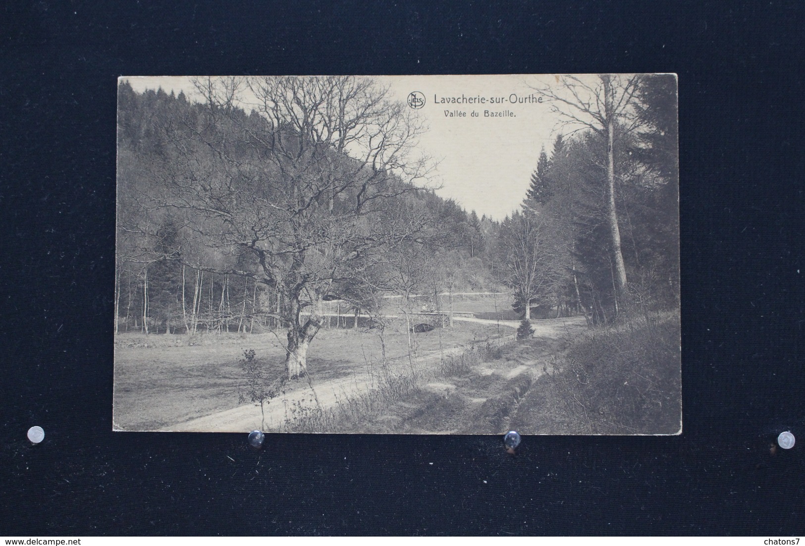 M/o -271 / Luxembourg -  Sainte-Ode, Lavacherie-sur-Ourthe, Vallée Du Bazeille  / Circulé 1923 - Sainte-Ode