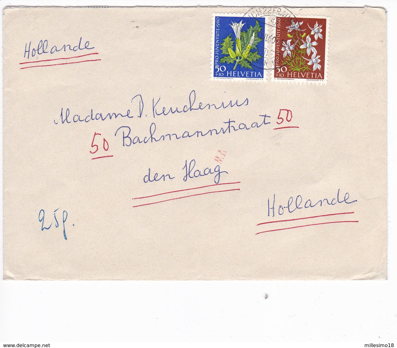 Svizzera Switzerland Suisse Helvetia 1960 Postal Cover Stamps Flora - Storia Postale