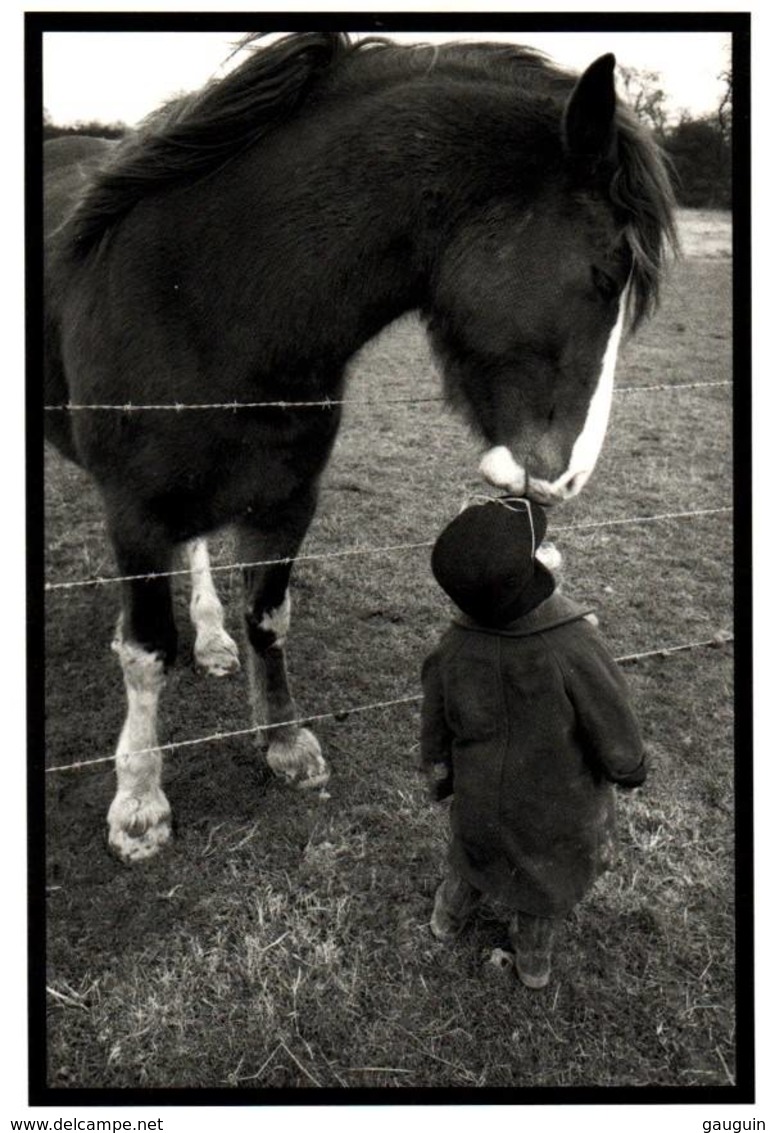 CPM - CHEVAL Et ENFANT - Photo JC.Lejeune - Chevaux