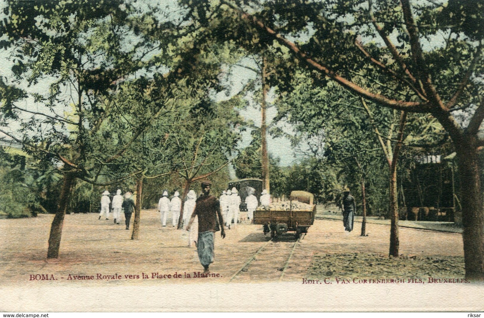 CONGO BELGE(BOMA) ARBRE - Congo Belga