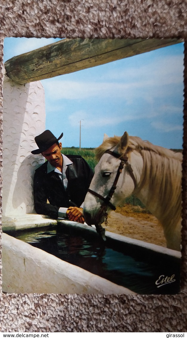 CPSM CHEVAL GARDIAN A L ABREUVOIR EN CAMARGUE ED ESTEL - Chevaux