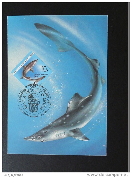 Carte Maximum Card Requin Shark URSS USSR Ref 72340 - Fische