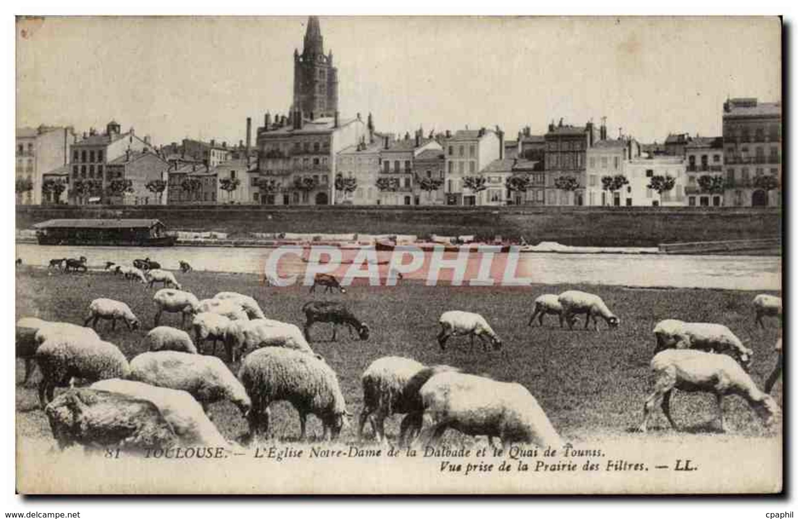 Toulouse - L&#39Eglise Notre Dame De La Dalbade - Mouton - Sheep - CPA - Toulouse
