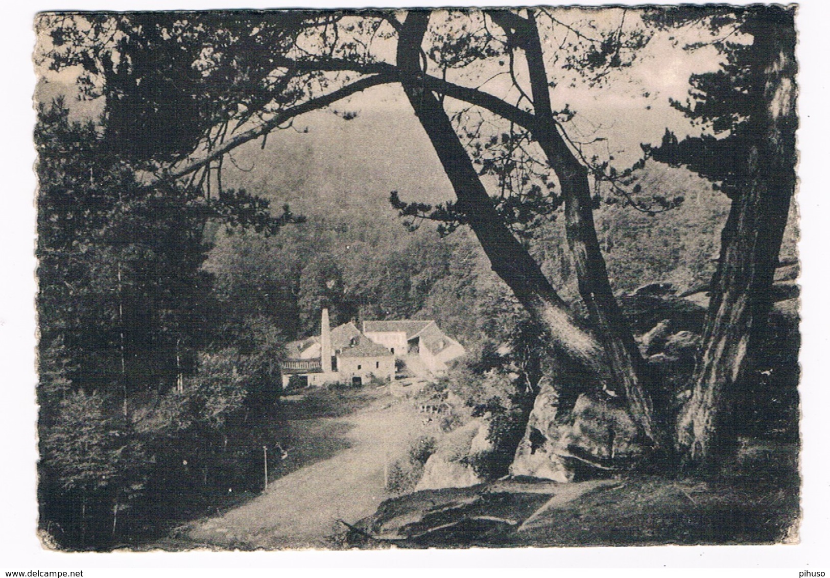 L-2163  CONSDORF : Moulin Vu Du Burgkapp - Echternach