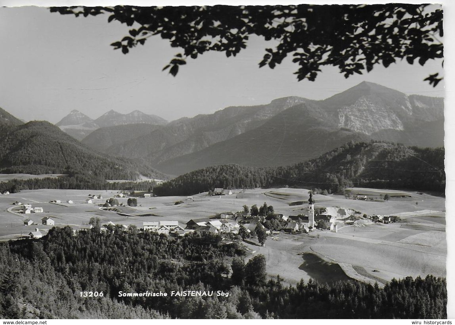 AK 0196  Faistenau - Verlag Rhomberg Um 1960 - Sonstige & Ohne Zuordnung