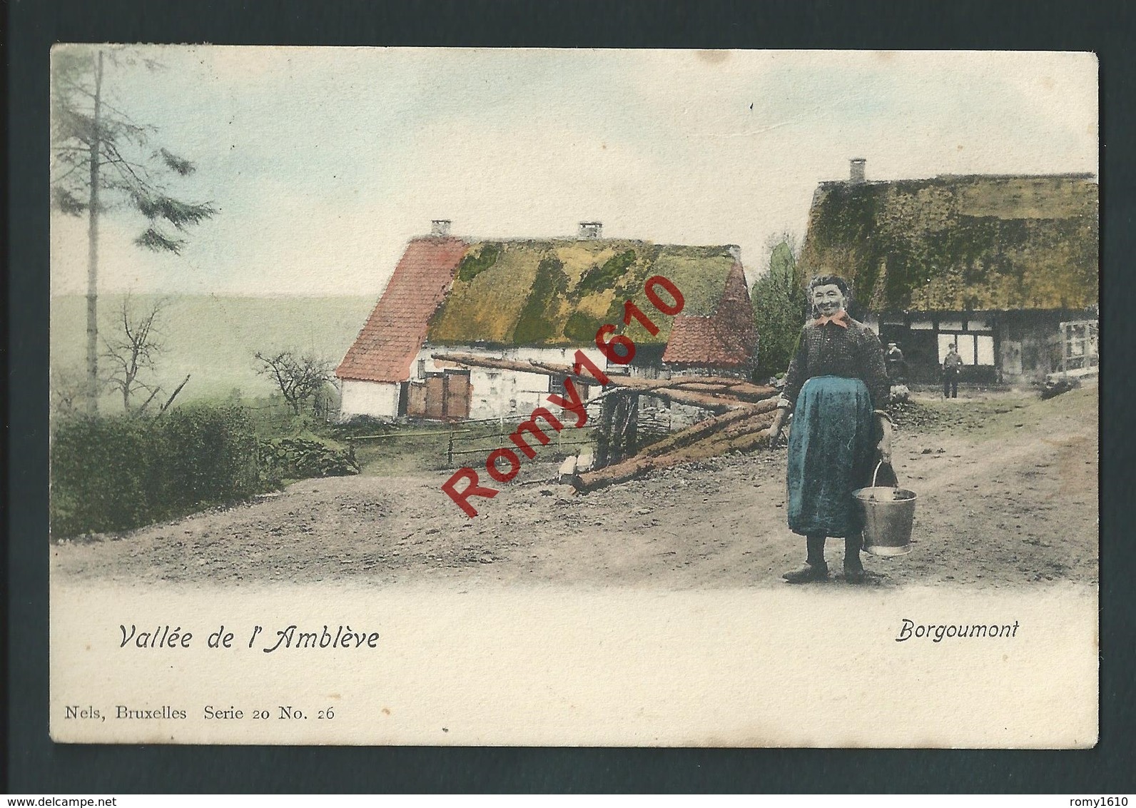 Vallée De L'Amblève. Borgoumont. Nels Série 20 N°26 Couleur - Amblève - Amel