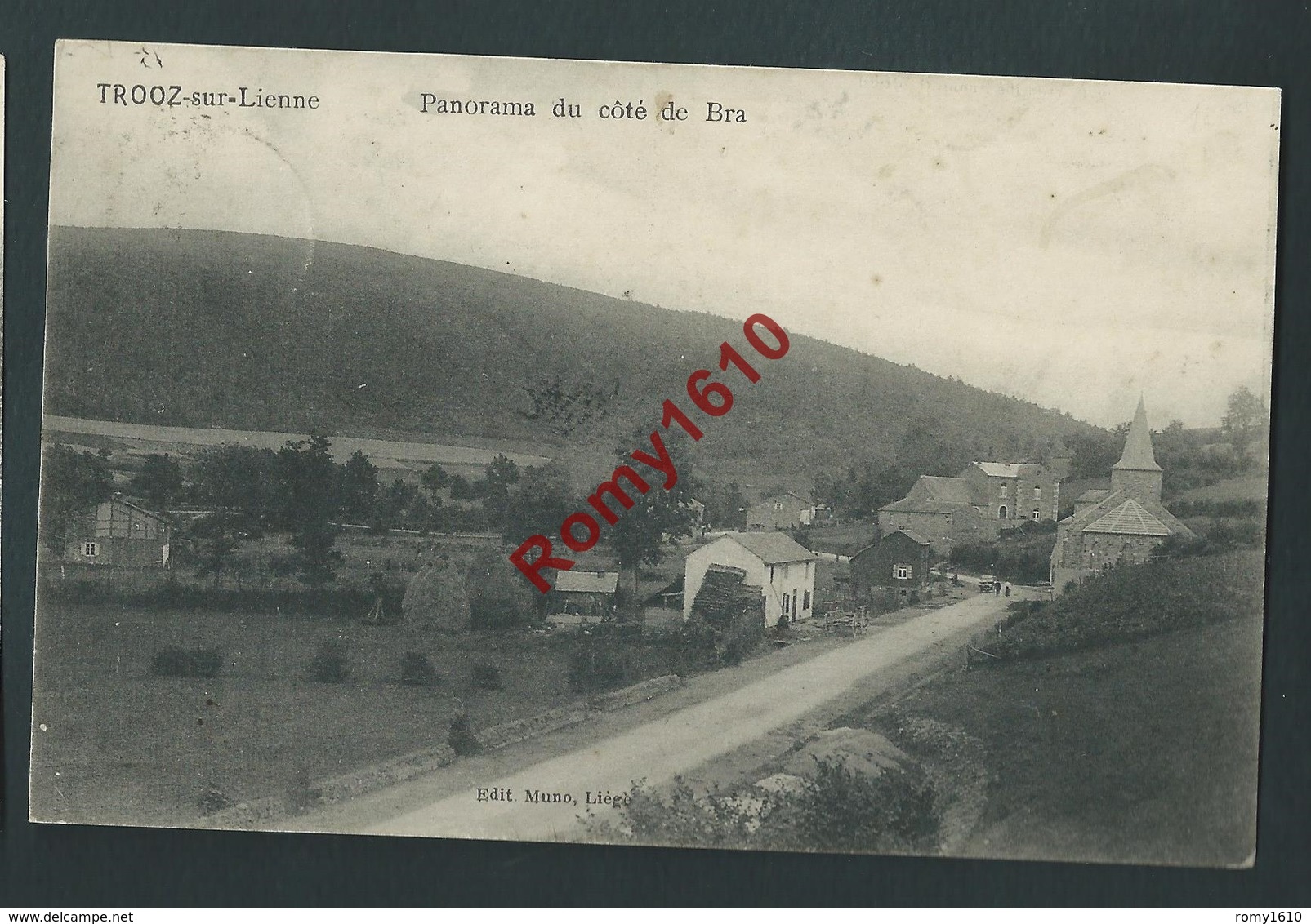 Trooz-sur-Lienne - Panorama Du Côté De Bra - Trooz