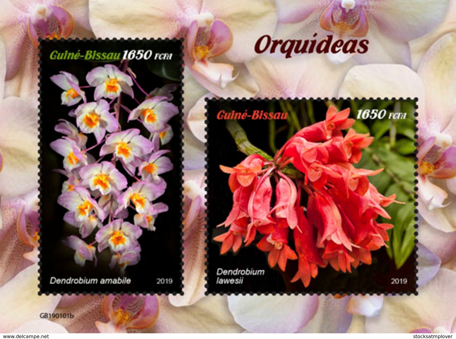 Guinea Bissau 2019  Orchids S201902 - Guinea-Bissau
