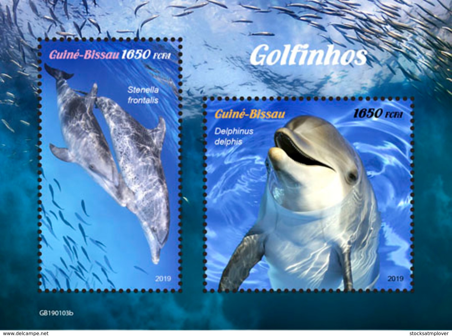 Guinea Bissau 2019 Fauna Dolphins   S201902 - Guinea-Bissau