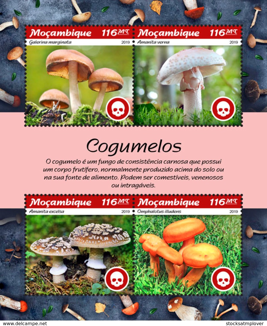 Mozambique  2019 Mushrooms   S201902 - Mozambique