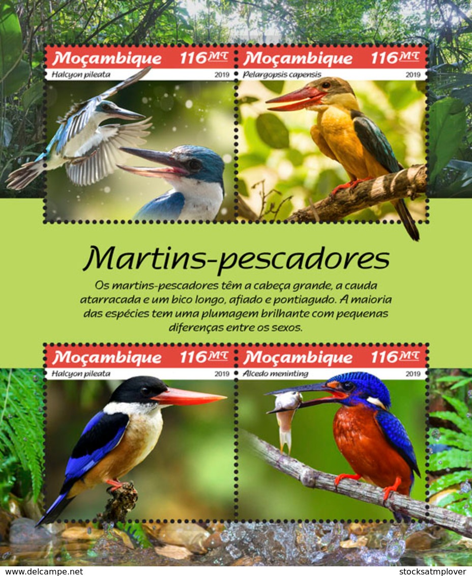 Mozambique  2019  Fauna Kingfishers Birds   S201902 - Mozambique