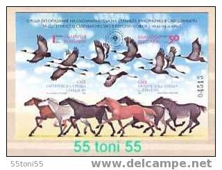 1989 ECOLOGY -EUROPE Fauna ( Horses / Birds-Storks ) - S/S Imperf. -MNH  BULGARIA / Bulgarie - Cigognes & échassiers