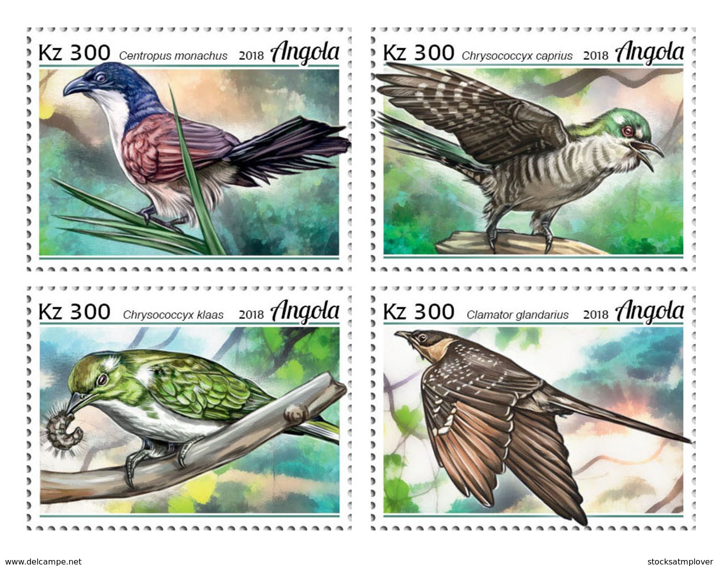 Angola  2018   Fauna Cuckoos  Birds   S201902 - Angola