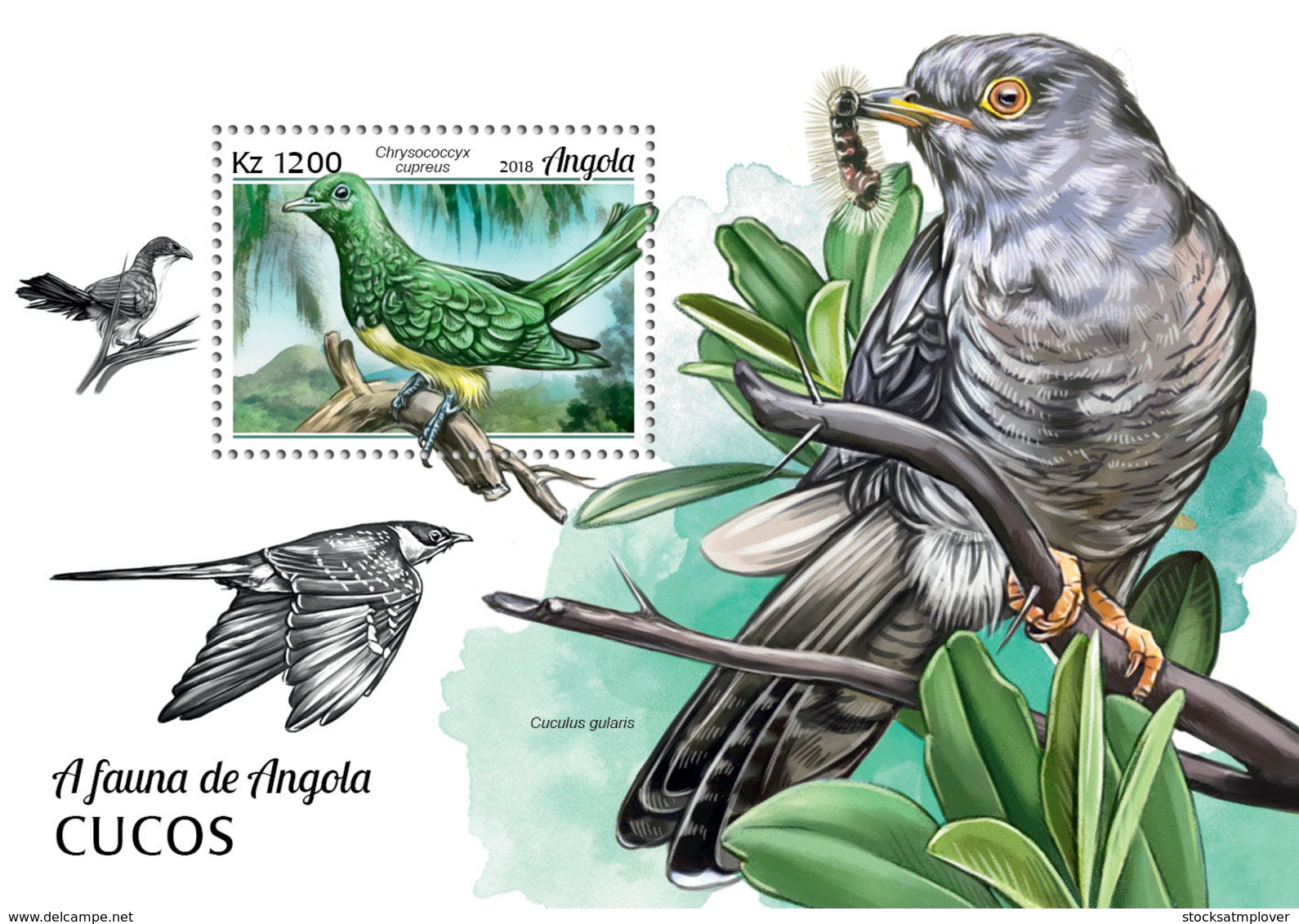 Angola  2018   Fauna Cuckoos  Birds   S201902 - Angola