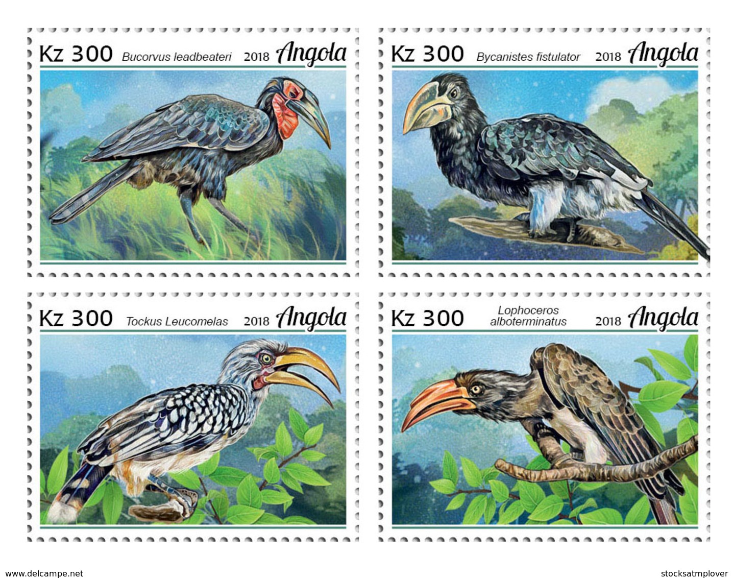 Angola  2018   Fauna Hornbills  Birds   S201902 - Angola