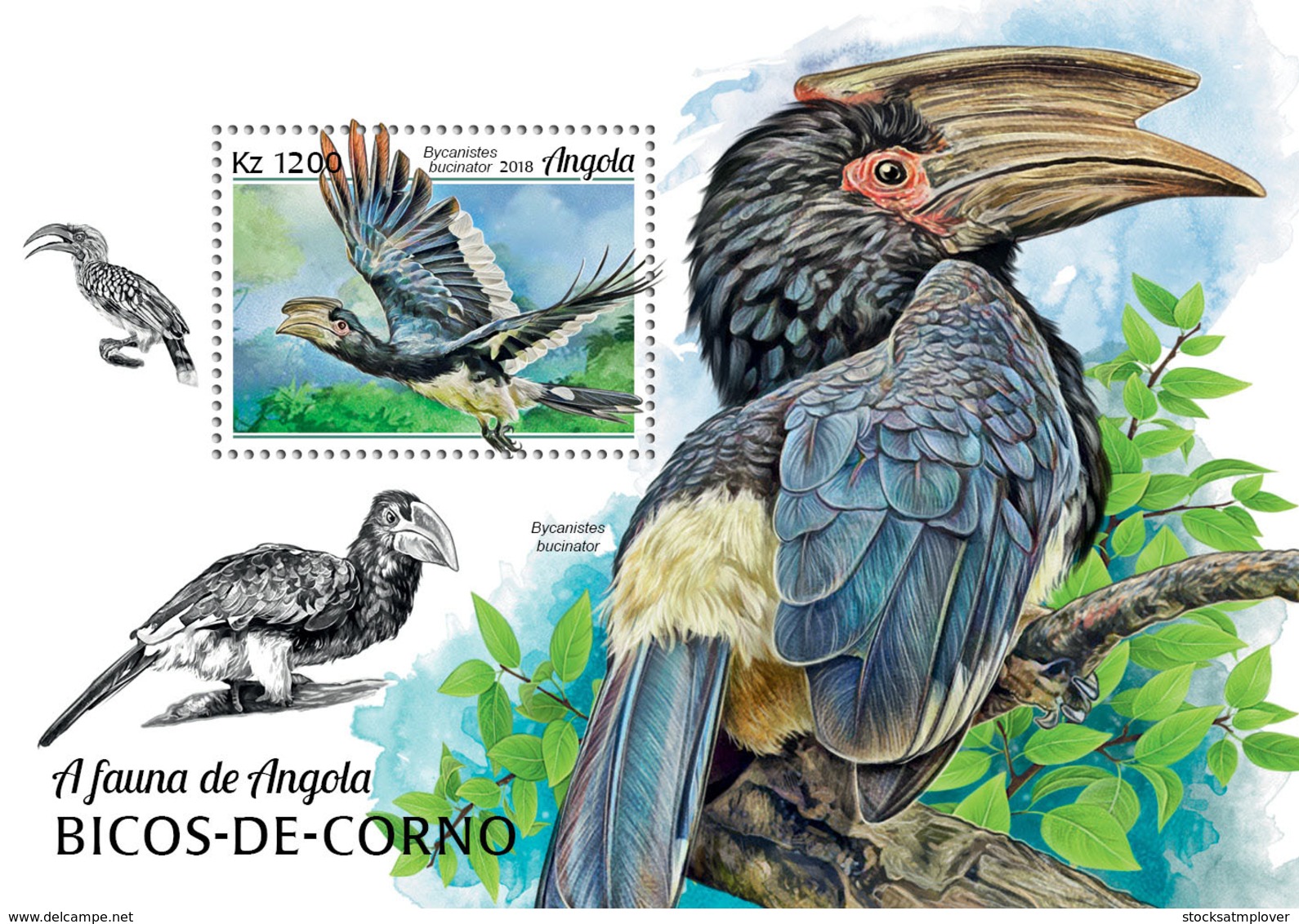 Angola  2018   Fauna Hornbills  Birds   S201902 - Angola
