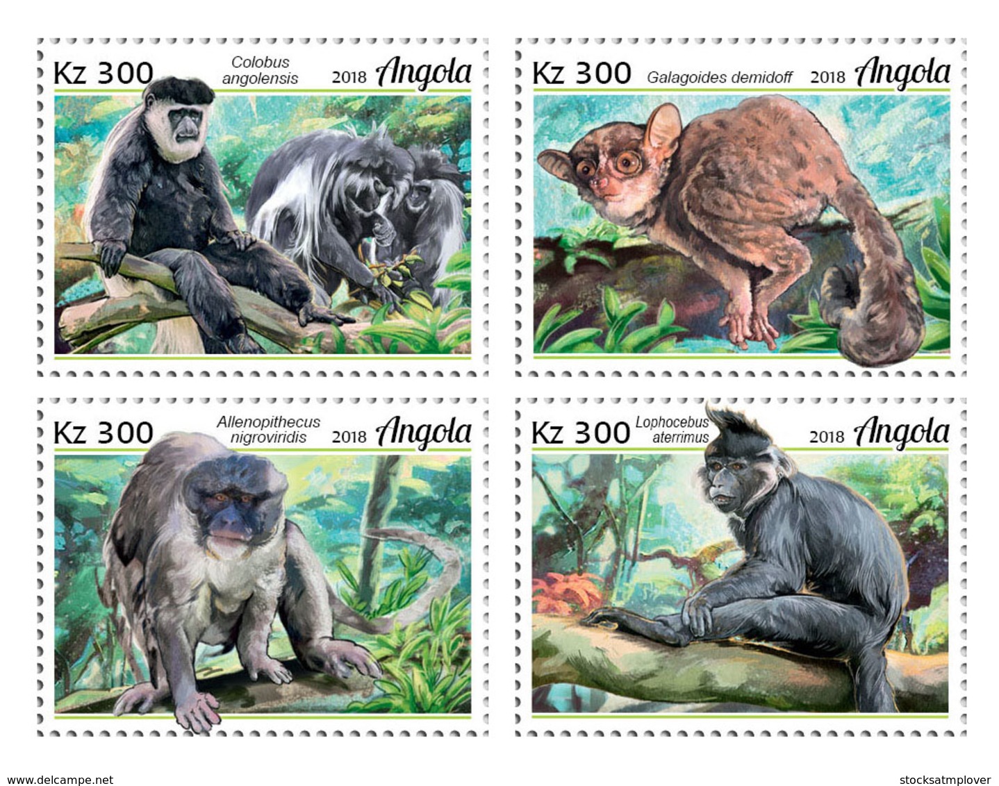 Angola  2018   Fauna  Primates  Monkeys   S201902 - Angola