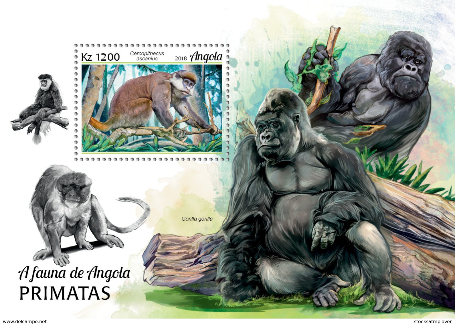 Angola  2018   Fauna  Primates  Monkeys  Gorillas  S201902 - Angola