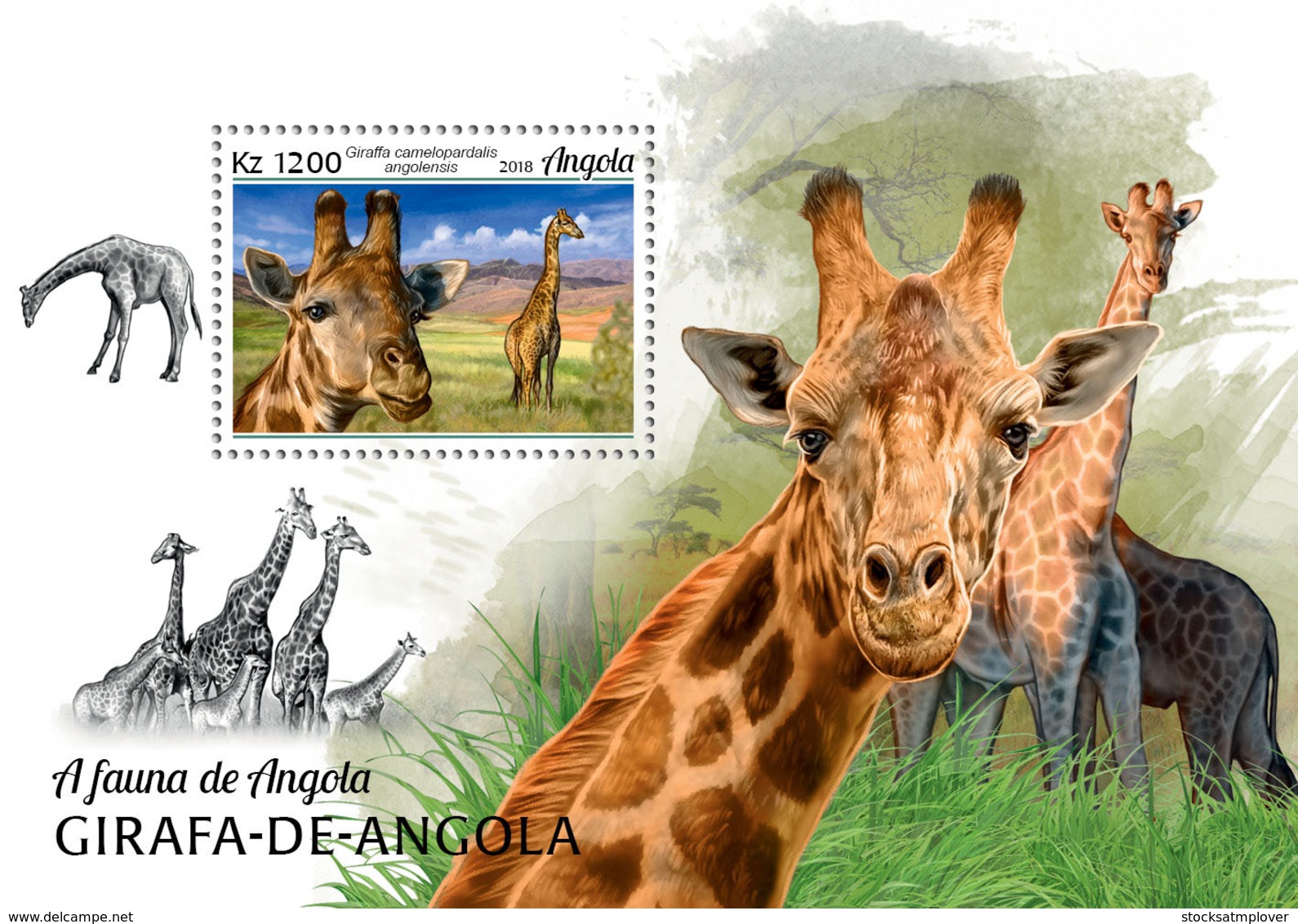 Angola  2018   Fauna   Angolan Giraffe   S201902 - Angola