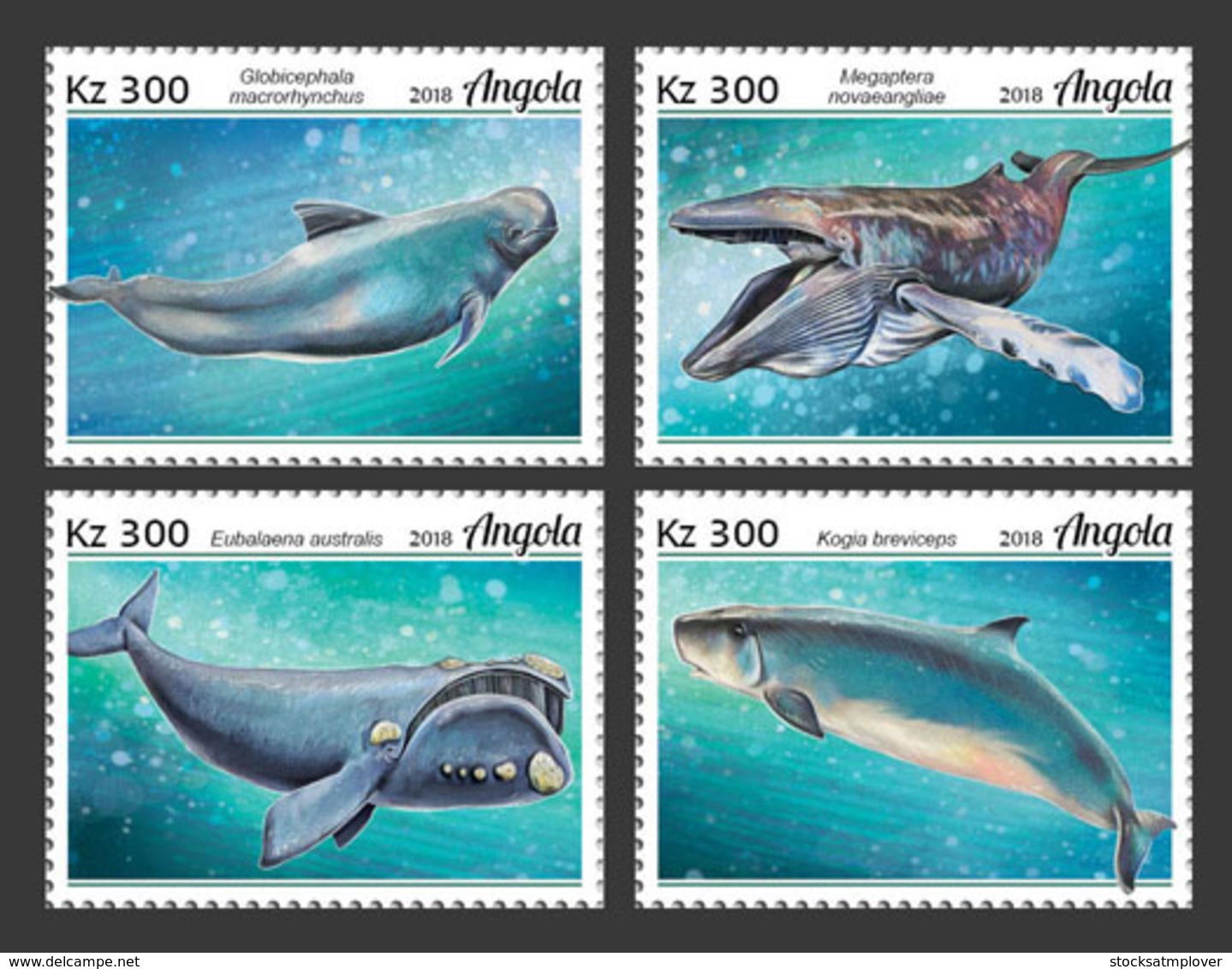 Angola  2018   Fauna  Whales  S201902 - Angola