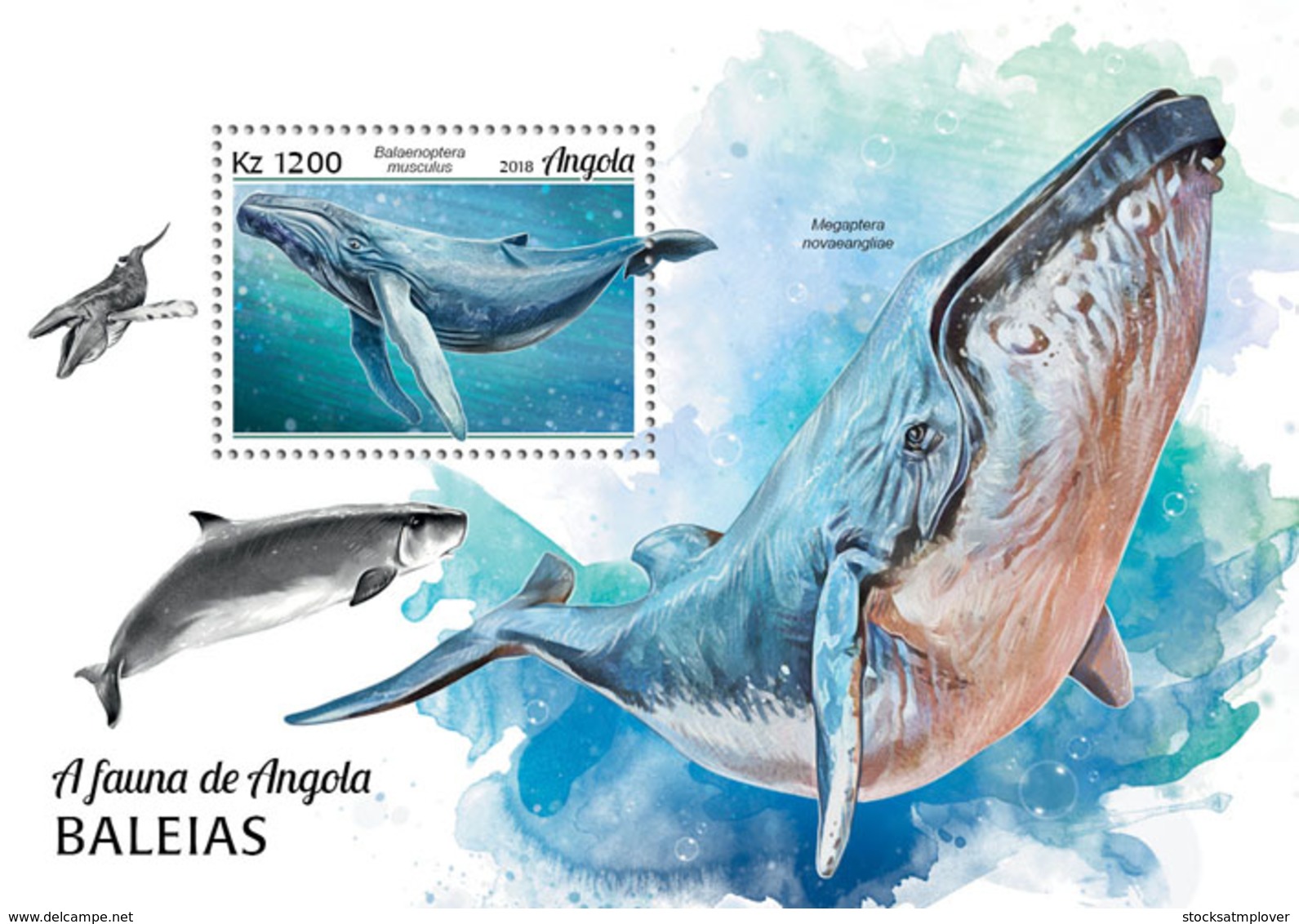 Angola  2018   Fauna  Whales  S201902 - Angola