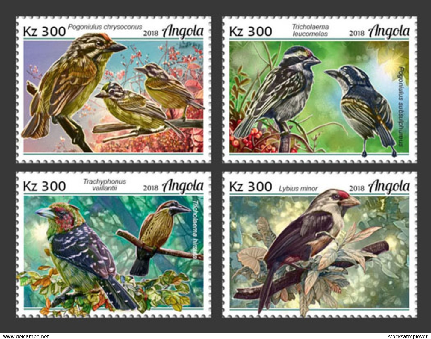 Angola  2018   Fauna   Barbets   Birds   S201902 - Angola