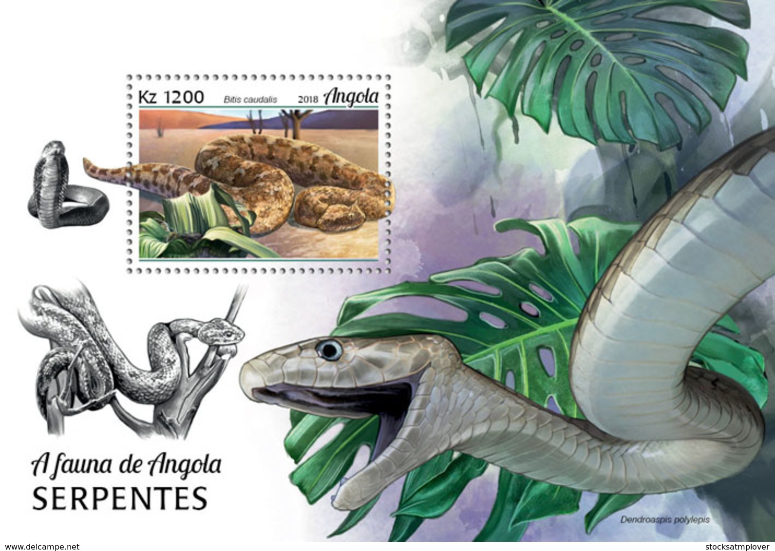 Angola  2018   Fauna   Snakes   S201902 - Angola