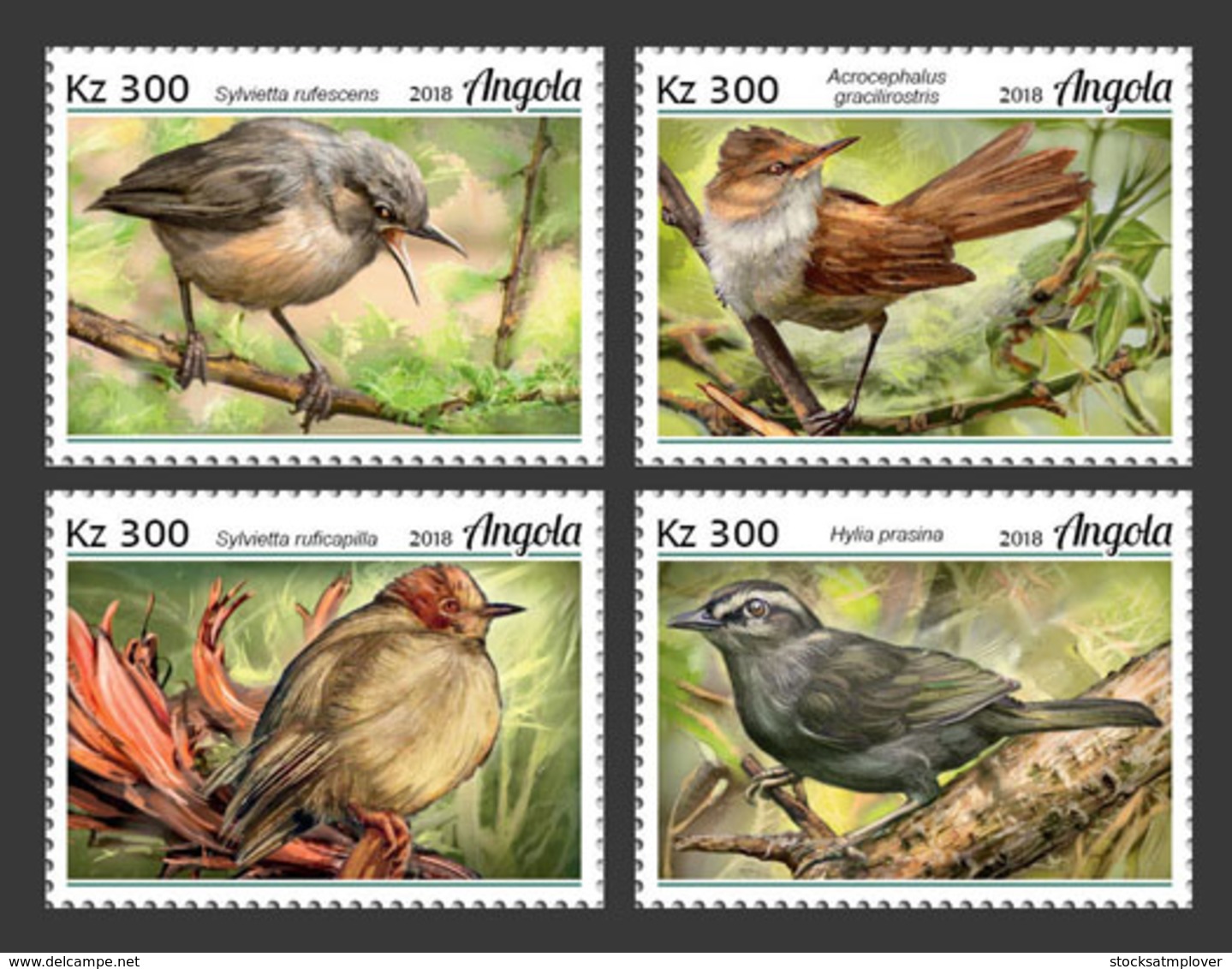 Angola  2018   Fauna   Warblers  Birds   S201902 - Angola