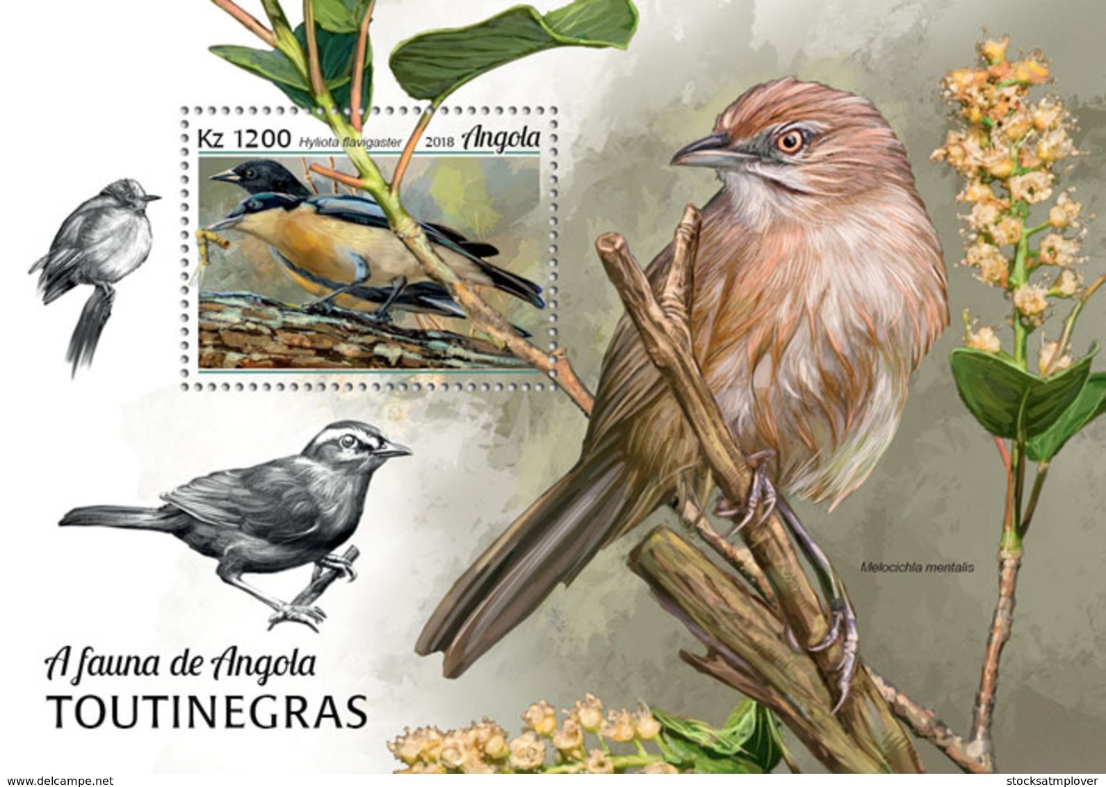 Angola  2018  Fauna Warblers Birds S201902 - Angola