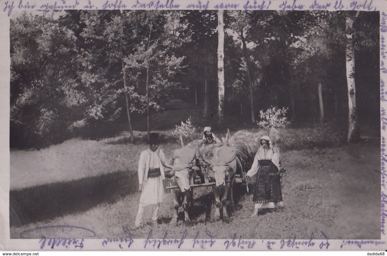 CARTE PHOTO ALLEMANDE - GUERRE 14-18 - ROUMANIE - ATTELAGE BOEUFS ROUMAINS - 2 PHOTOS - Guerre 1914-18