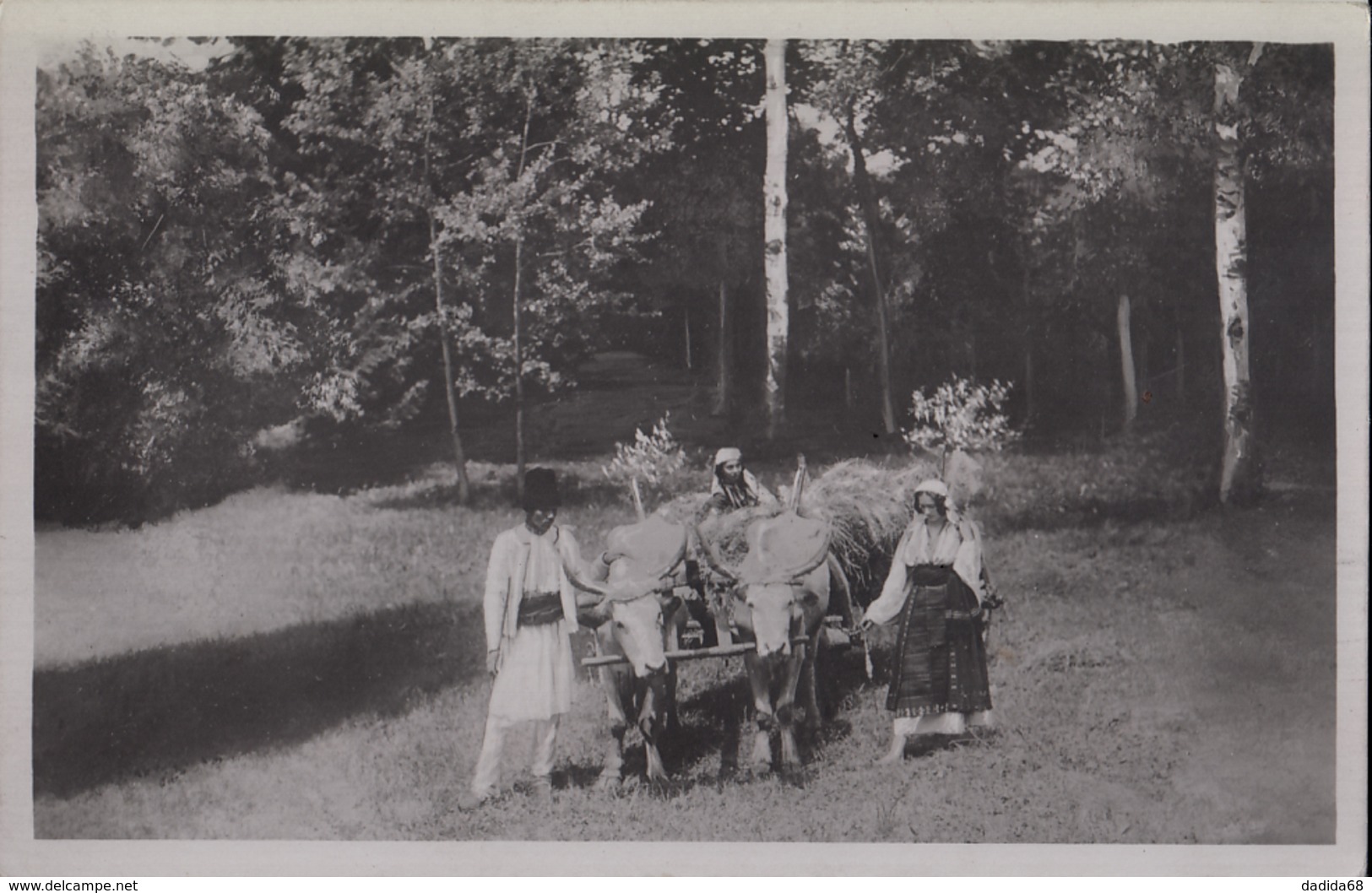 CARTE PHOTO ALLEMANDE - GUERRE 14-18 - ROUMANIE - ATTELAGE BOEUFS ROUMAINS - 2 PHOTOS - Guerre 1914-18